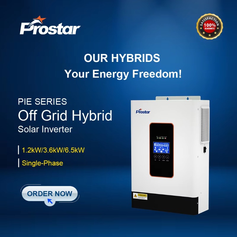 【2026】3.6kw 12V 24V 48V Zuiver - Renewable Energy Us recensie en prijs